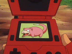 EP244 - Ramoloss Pokédex.png