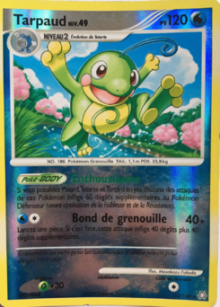 Tarpaud (Diamant & Perle Éveil des Légendes 12)