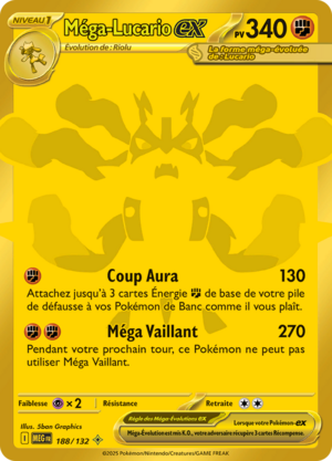Carte Méga-Évolution 188.png