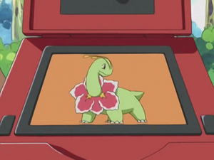 EP261 - Méganium Pokédex.png