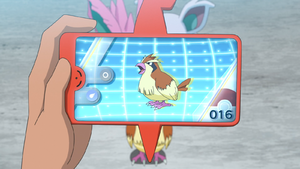LV020 - Roucool Pokédex.png