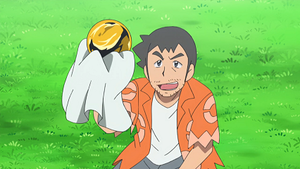 Pépite animé.png