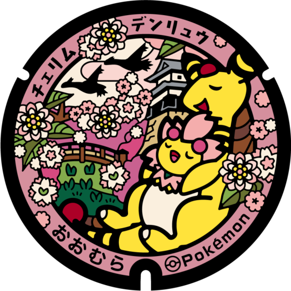 Fichier:Poké Lid 356 Omura.png