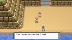 Route 213 Calcium DEPS.png