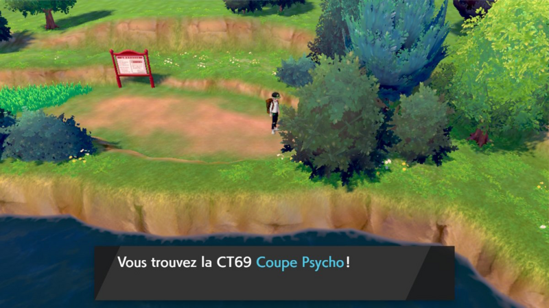 Fichier:Route 2 Coupe Psycho EB.png