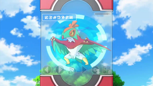 XY035 - Brutalibré Pokédex.png