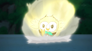 Brindibou Turbo-Charge Bulldozer.png