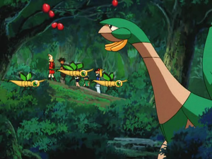 Film 06 - Vibraninf Sauvages.png