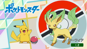 Quel est ce Pokémon ? : C'est Phyllali !
