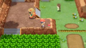 Route 205 Attaque + DEPS.png