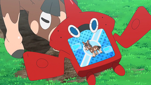 SL011 - Tiboudet Pokédex.png