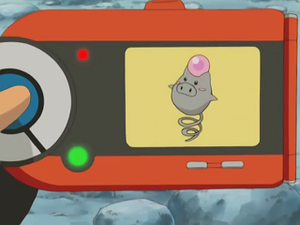 AG079 - Spoink Pokédex.png