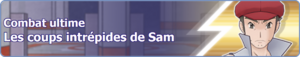 Bannière Les coups intrépides de Sam PM.png