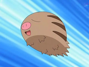 Marcacrin d'Aurore.png
