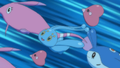 Rosabyss, Lovdisc, Manaphy et Babimanta (sauvages)