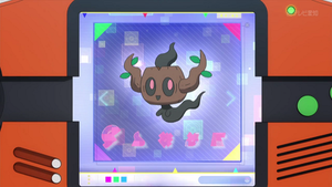 XY117 - Brocélôme Pokédex.png