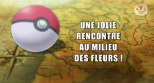 Ecran titre XY089 FR.png