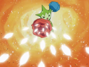 Rosélia Feuille Magik.png