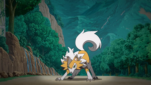 SL038 - Lougaroc de Sacha.png