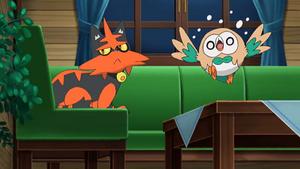 SL092 - Matoufeu et Brindibou de Sacha.png