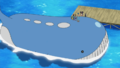 Wailord (d'Amana)