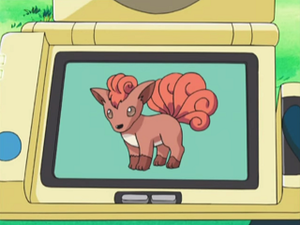 AG150 - Goupix Pokédex.png