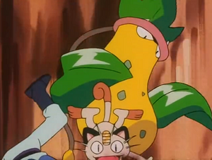 EP172 - Empiflor de James.png