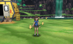 Plaine Des Pikachu Poképédia