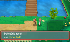 Route 104 Hyper Ball ROSA.png