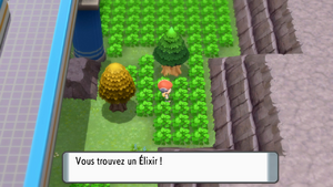 Route 206 Élixir DEPS.png