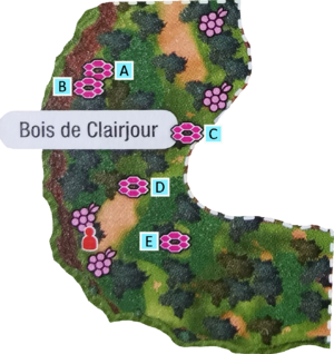 Localisation des antres du Bois de Clairjour