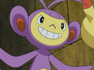 DP060 - Capidextre d'Aurore.png