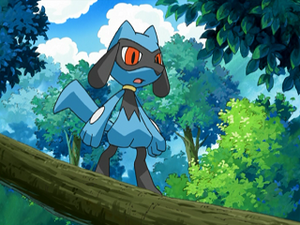 DP071 - Riolu d'un Dresseur.png