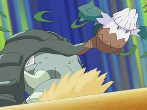 DP141 - Donphan et Blizzi d'un Dresseur.png