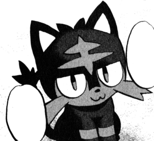 Flamiaou de Soleil-PMS.png