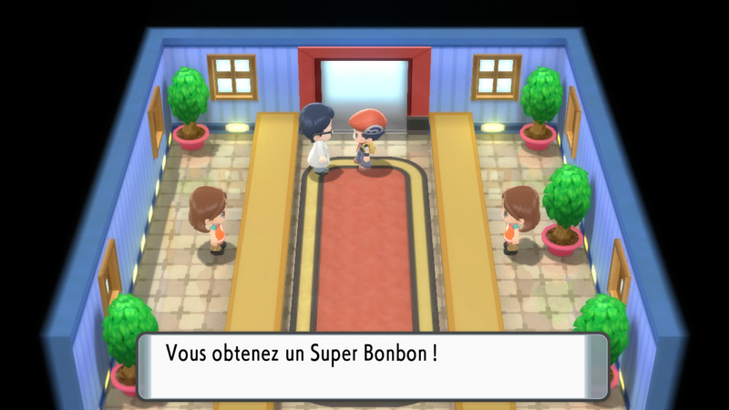 Fichier:Route 206 Super Bonbon DEPS.png