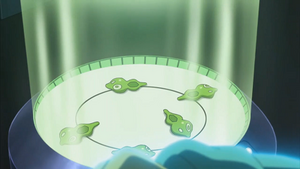 XY139 - Cellules de Zygarde.png