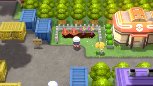 Aire de Combat Arbres à Baies DEPS.png