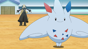 Togekiss(de Cynthia)