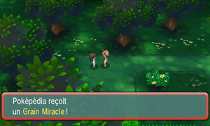 Bois Clémenti Grain Miracle ROSA.png