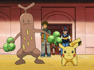 DP076 - Simularbre de Pierre et Pikachu de Sacha.png