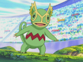 Kecleon (d'Harrison)