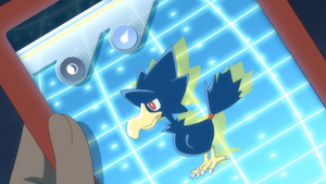 LV083 - Cornèbre Pokédex.png