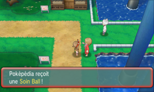 Route 110 Soin Ball ROSA.png