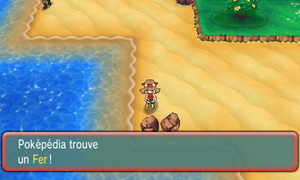 Route 118 Fer ROSA.png