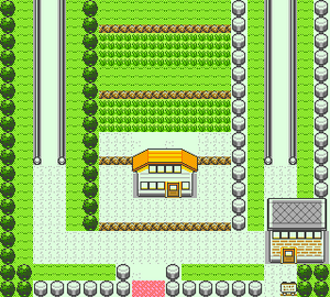 Route 5 (Kanto) OAC.png