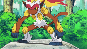 DP181 - Simiabraz de Sacha.png