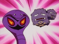 Arbok (de Jessie) et Smogogo (de James)