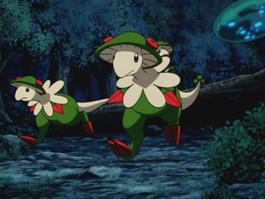 Film 06 - Chapignon Sauvages.png