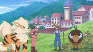 LH074 - Tauros et Rattata d'un fermier (Flash-back).png